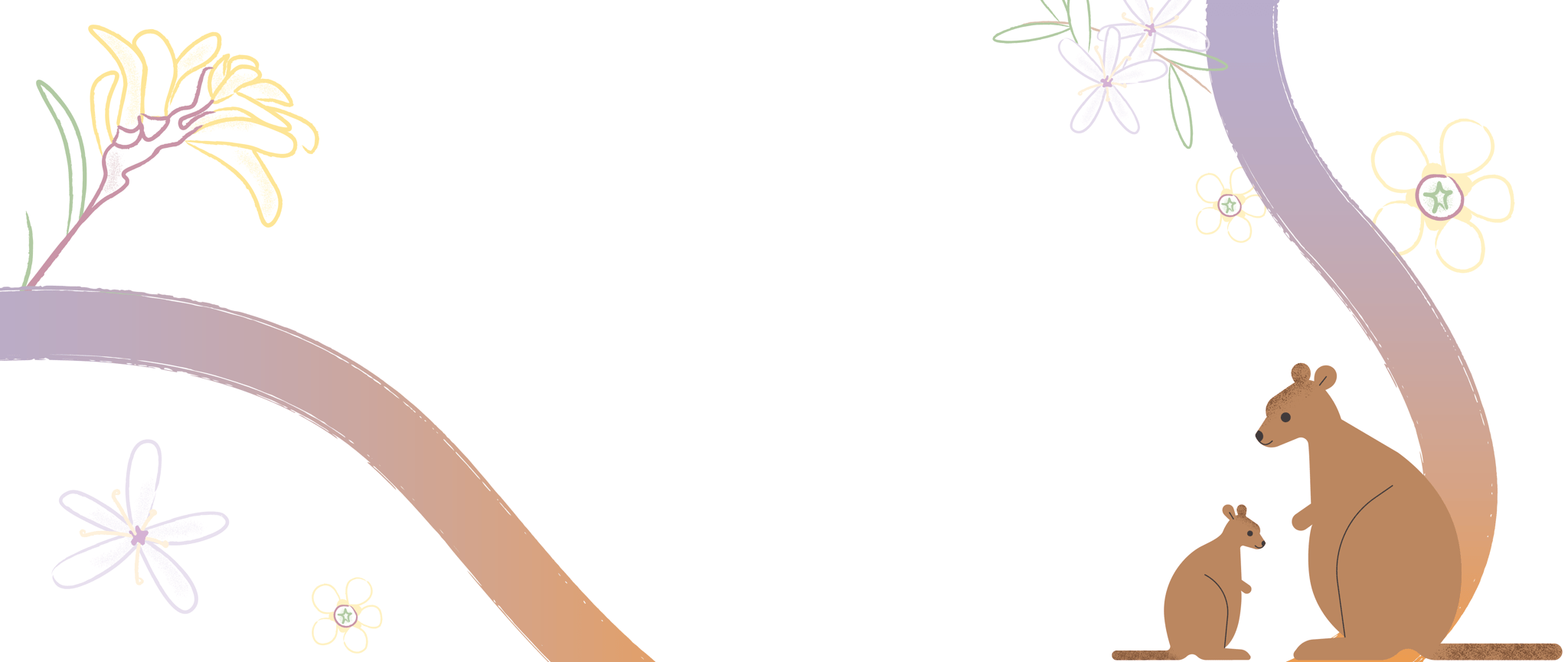 Decorative banner featuring illustrated wallabies amidst fluid, vibrant brushstrokes and outlined native flora.