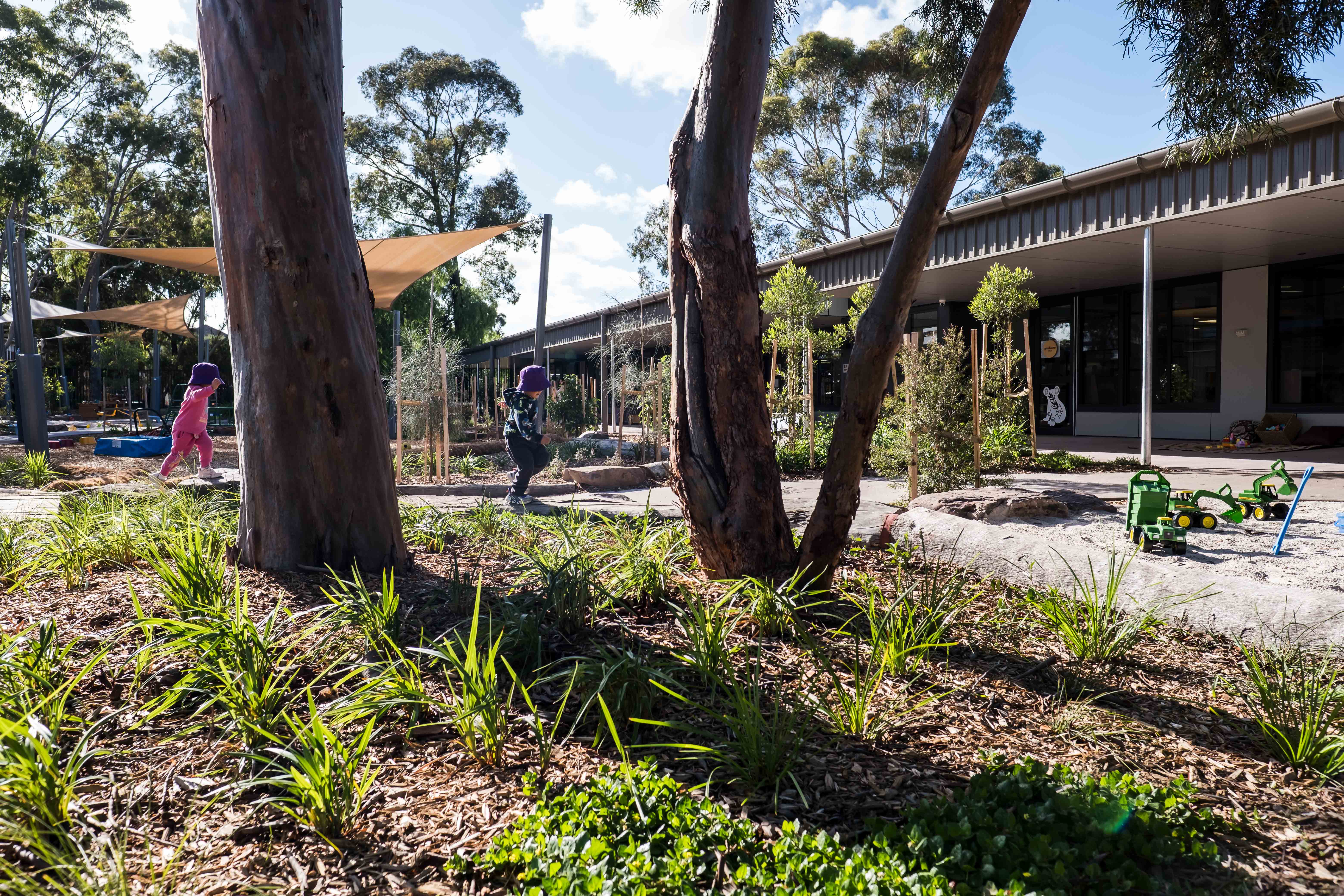 Early Learning Victoria Muyan's outdoor play area, with native grasses and gum trees in foreground, two young children running joyfully, and play equipment with shade sail in the background.
